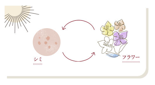 シミ⇔フラワー